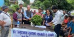 इच्छाकामना गाउँपालिकाका किसानलाई १७ हजार पाँच सय सुन्तलाका बिरुवा वितरण
