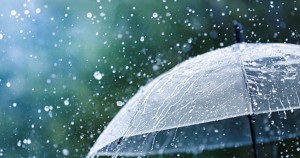 आज झापामा सबैभन्दा बढी वर्षा