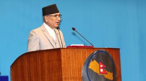 १९ खर्ब ६४ अर्ब ११ करोडको बजेट सार्वजनिक [पूर्णपाठ]