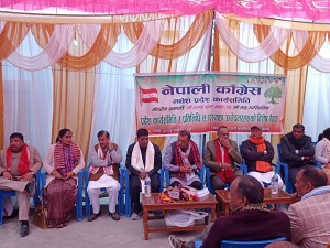 कांग्रेस सभापति थापाद्वारा पार्टी एकता र सङ्गठन सुदृढीकरणमा जोड