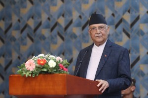 एनपीएलको तयारी गर्न प्रधानमन्त्रीको निर्देशन