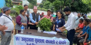 इच्छाकामना गाउँपालिकाका किसानलाई १७ हजार पाँच सय सुन्तलाका बिरुवा वितरण