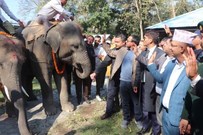 कतार पठाउन लागिएका रुद्रकली र खगेन्द्रप्रसादको बिदाइ