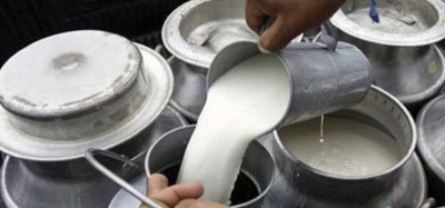 लामो समयसम्म भुक्तानी नहुँदा दूध उत्पादक किसान निरुत्साहित