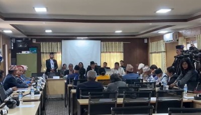 तीनकुने घटना नियोजित र आपराधिक उद्धेश्यले गराइयो : गृहमन्त्री