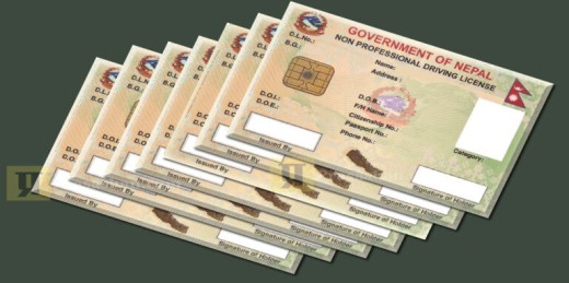 ‘लाइसेन्स’ छपाइ तीव्र गतिमा, दैनिक ४० हजार छपाइ