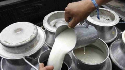‘डेरीमार्ट’ थप्दै दुग्ध उत्पादक सहकारी सङ्घ