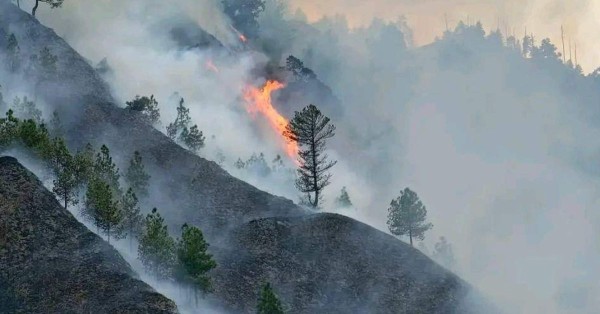 डोल्पाको डढेलोमा घाइते बालकको मृत्यु