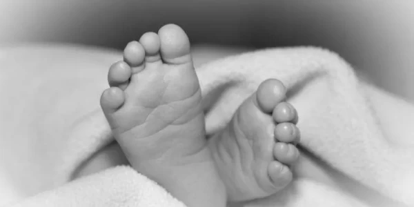 ३० महिनाको नाबालकसहित तीन जना आफ्नै घरमा मृत अवस्थामा फेला