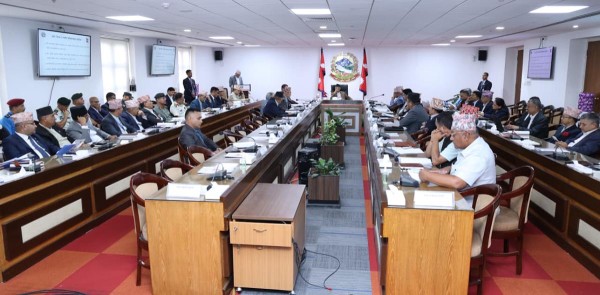 संविधान घोषणाको एक दशकलाई उत्सवका रुपमा मनाउने सरकारको निर्णय