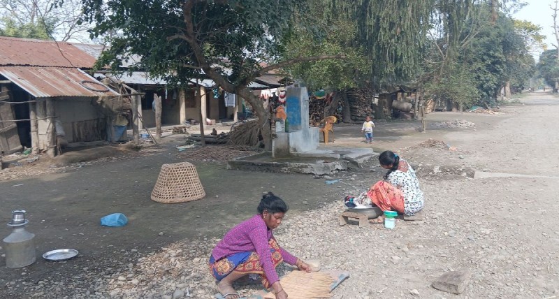 निर्वाचनले छोएन चितवनको माझी, मुसहर बस्ती
