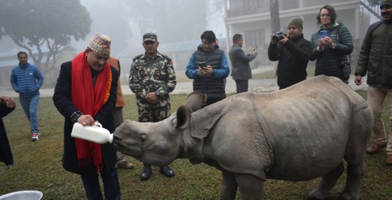 गैंडा संरक्षण गर्न सरकारले ल्यायो १० वर्षे कार्ययोजना