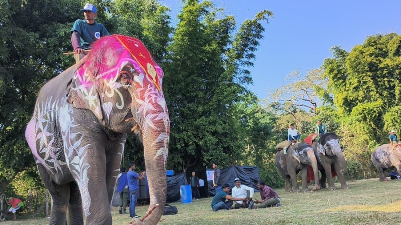 सौराहामा पर्यटन प्रवर्द्धन गर्न हात्ती महोत्सव