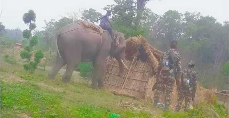 निकुञ्ज प्रशासनले भत्कायो माडीको कुसुमखोलामा चेपाङका ५२ घर