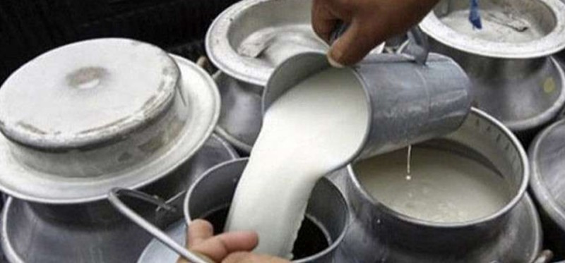 दुग्ध  किसानले पाएनन् चार अर्ब भुक्तानी,  भदौ ४ देखि चरणबद्ध आन्दोलन गर्ने चेतावनी