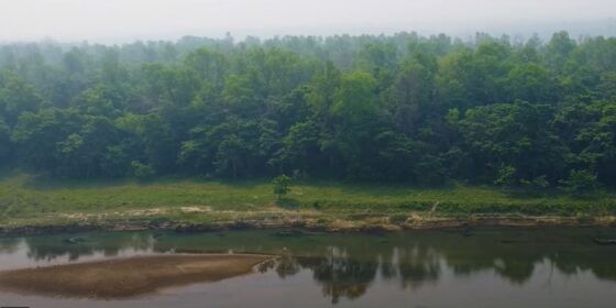 चितवनका एक सय एकहत्तर निजी वन व्यवस्थापनमा