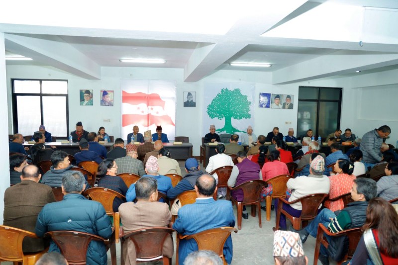 कांग्रेसले सतहत्तर जिल्लामा खटायो प्रतिनिधि