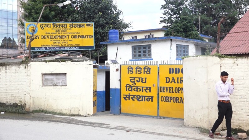 किसानलाई भुक्तानी गर्न अर्थ मन्त्रालयले दुग्ध विकास संस्थानलाई ६० करोड ऋण दिने