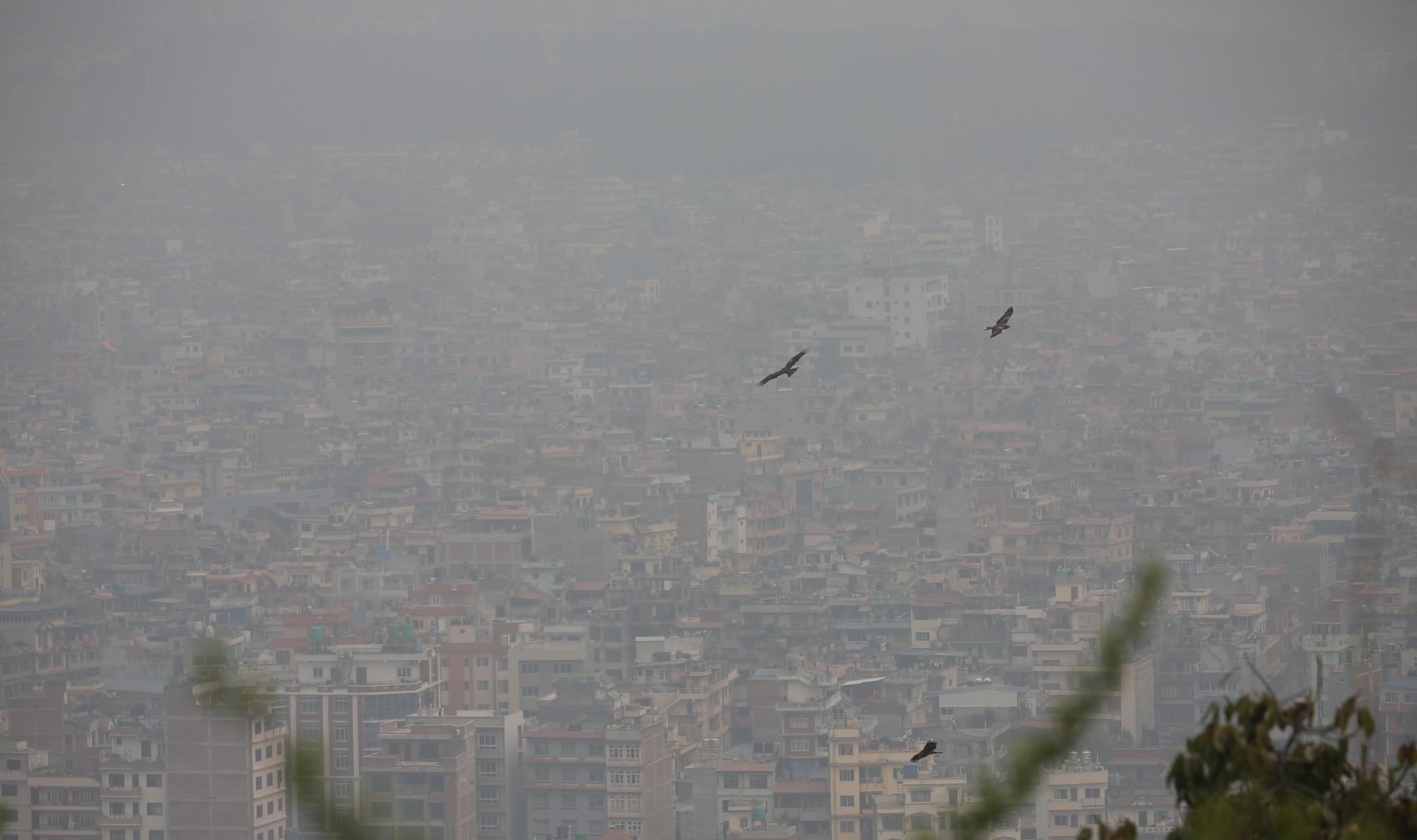 मौसम धुम्म हुञ्जेल प्रदूषण बढ्ने, सचेत रहन आग्रह