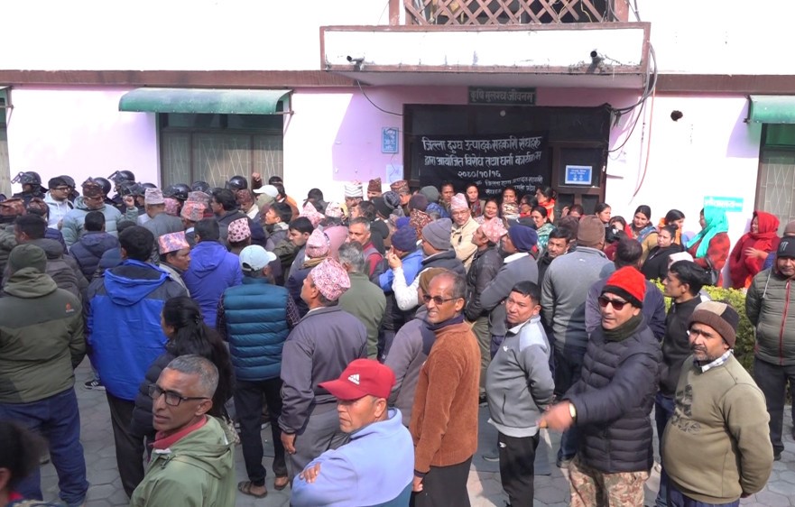 किसानको विरोधपछि दूधकाे अनुदान रकम कटौतीको निर्णय स्थगन