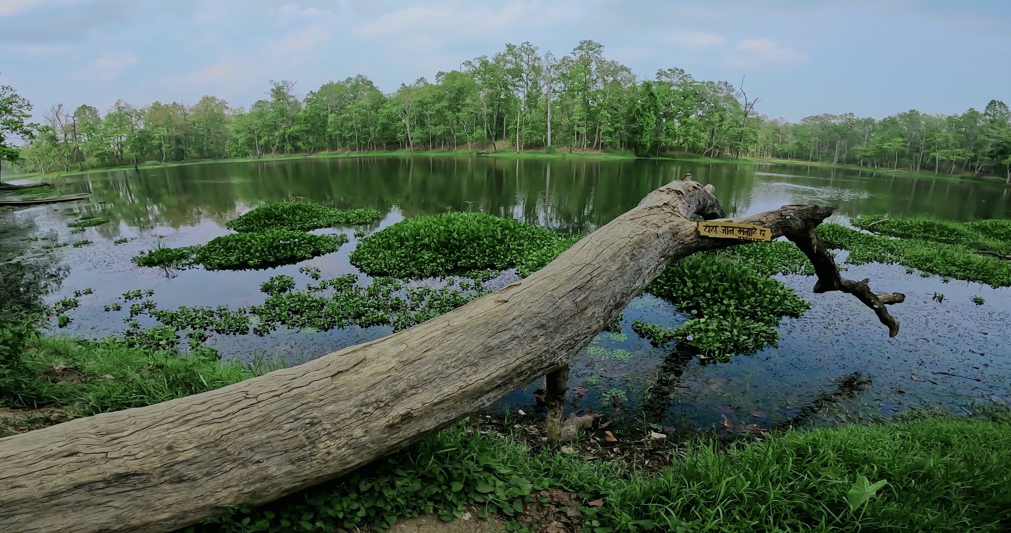 bharatpur-tourism3-1709139965.jpg