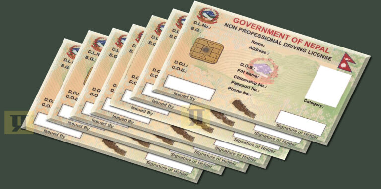 ‘लाइसेन्स’ छपाइ तीव्र गतिमा, दैनिक ४० हजार छपाइ