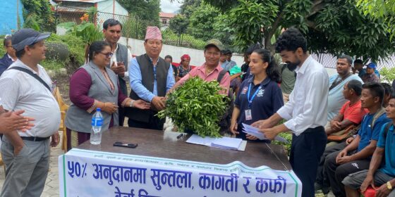 इच्छाकामना गाउँपालिकाका किसानलाई १७ हजार पाँच सय सुन्तलाका बिरुवा वितरण